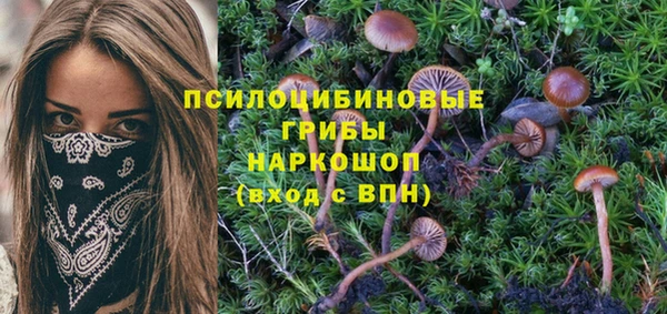 ECSTASY Алексеевка